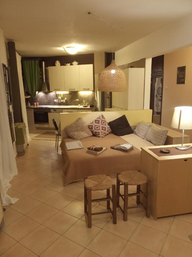 Spacious Cosy Apt 塞萨洛尼基 外观 照片